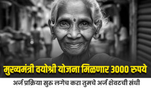 Mukhyamantri Vayoshree Yojana 2024